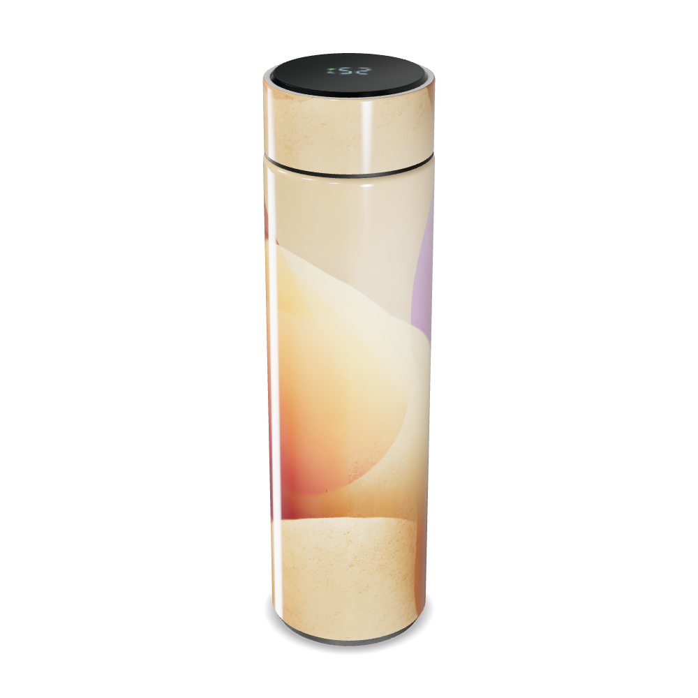 Garrafa Térmica Touch - Colorida com Display Digital