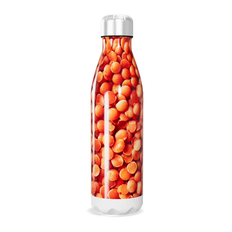 Garrafa Inox - Estampa Laranja Grãos