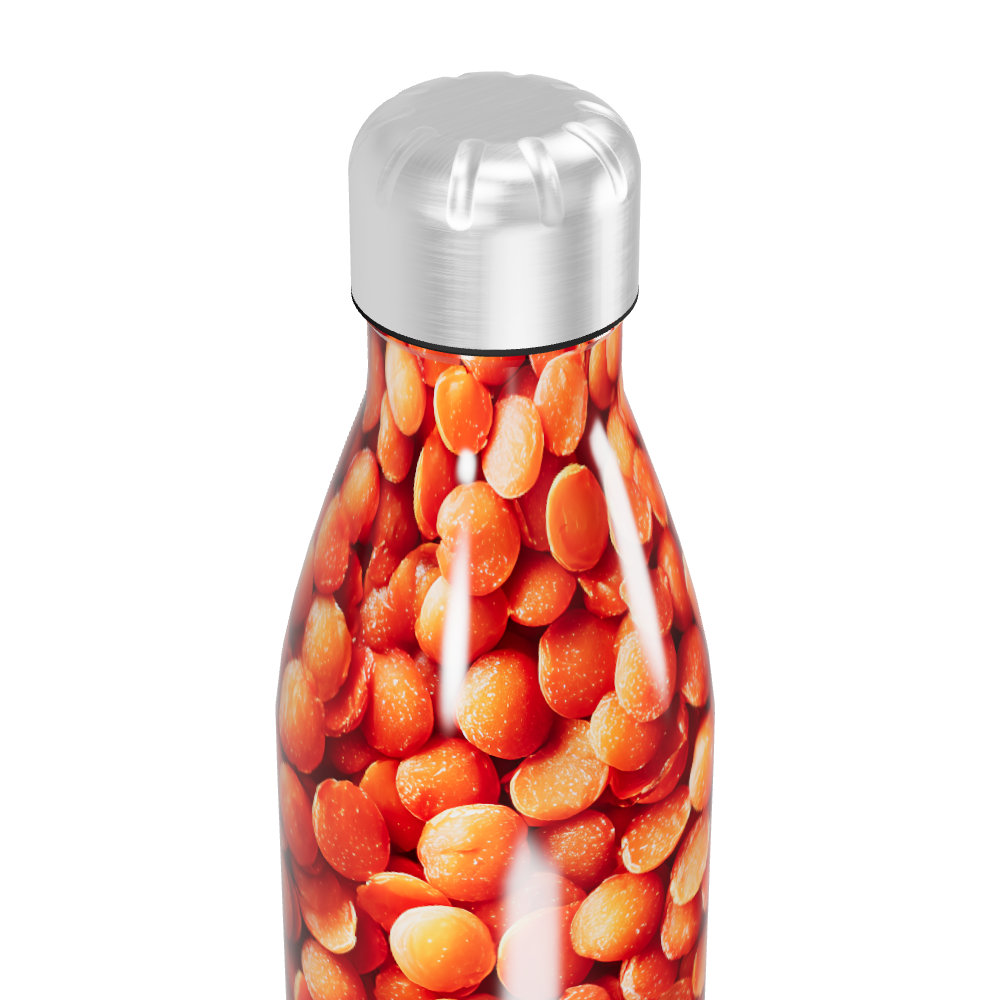 Garrafa Inox - Estampa Laranja Grãos