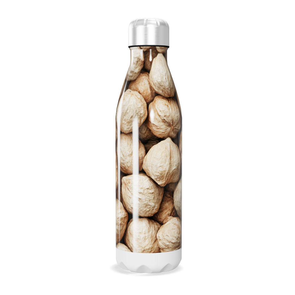 Garrafa Inox Estampa Frutas Desidratadas