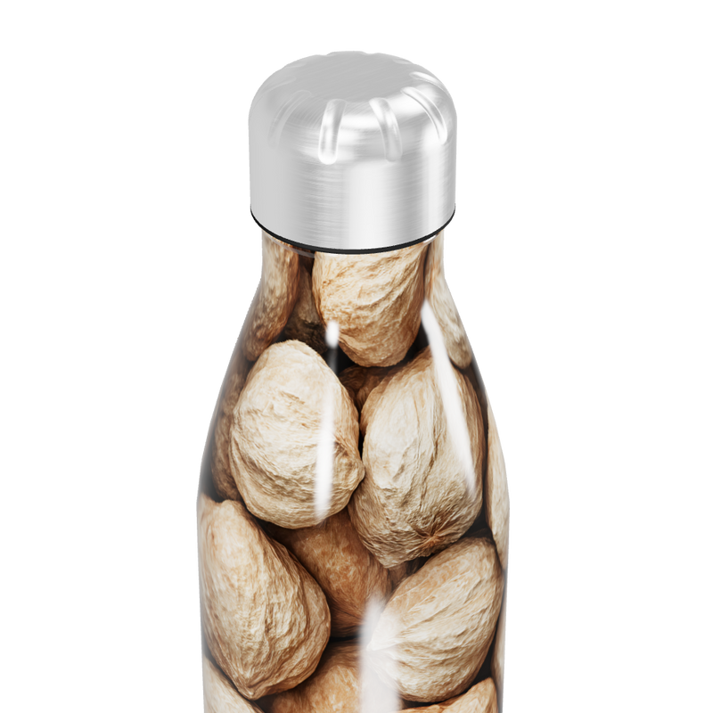 Garrafa Inox Estampa Frutas Desidratadas