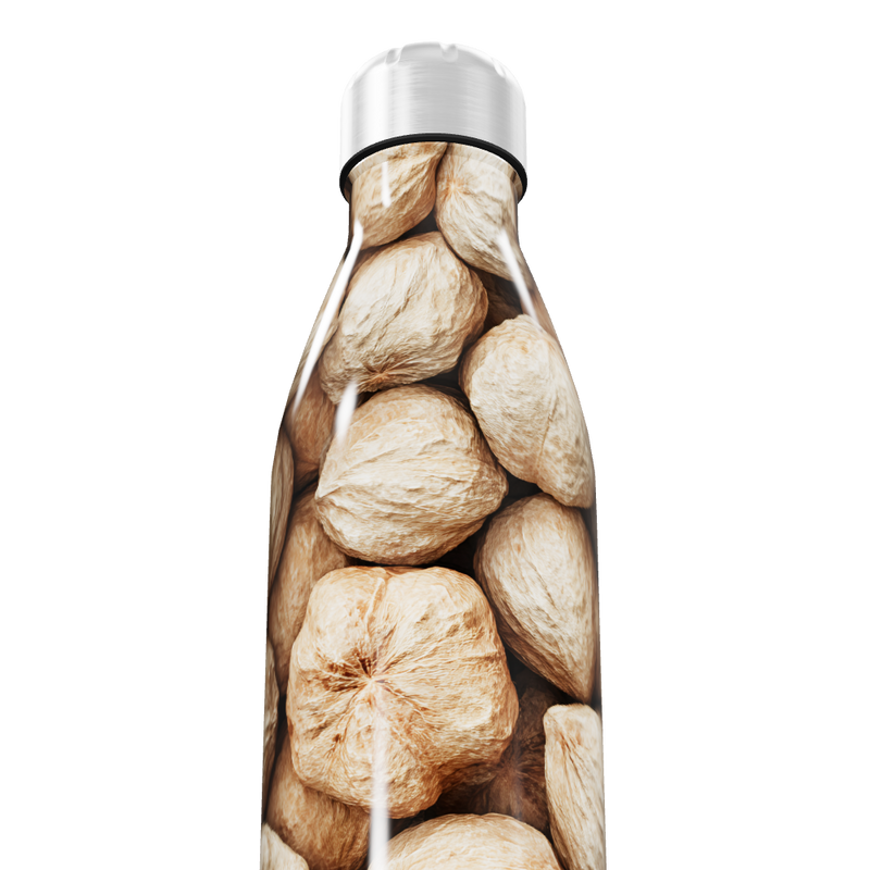 Garrafa Inox Estampa Frutas Desidratadas