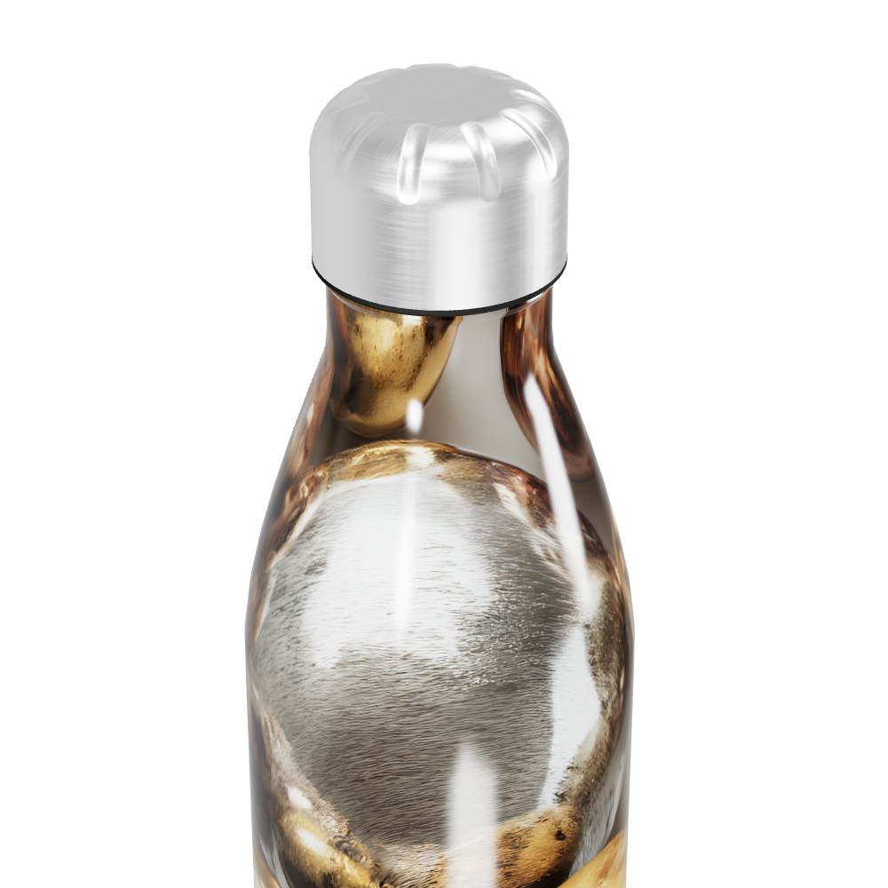 Garrafa Inox - Estampa Metálica Colorida