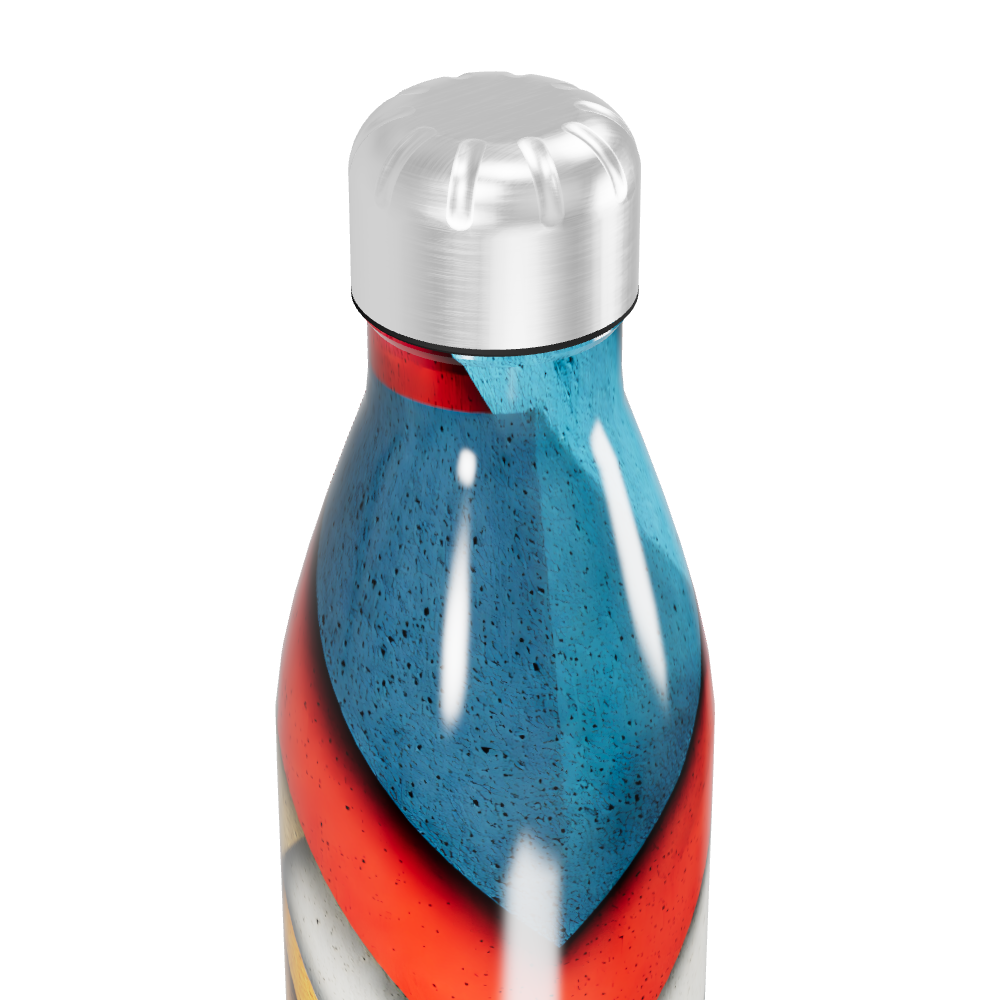 Garrafa Inox Estampada Multicolorida