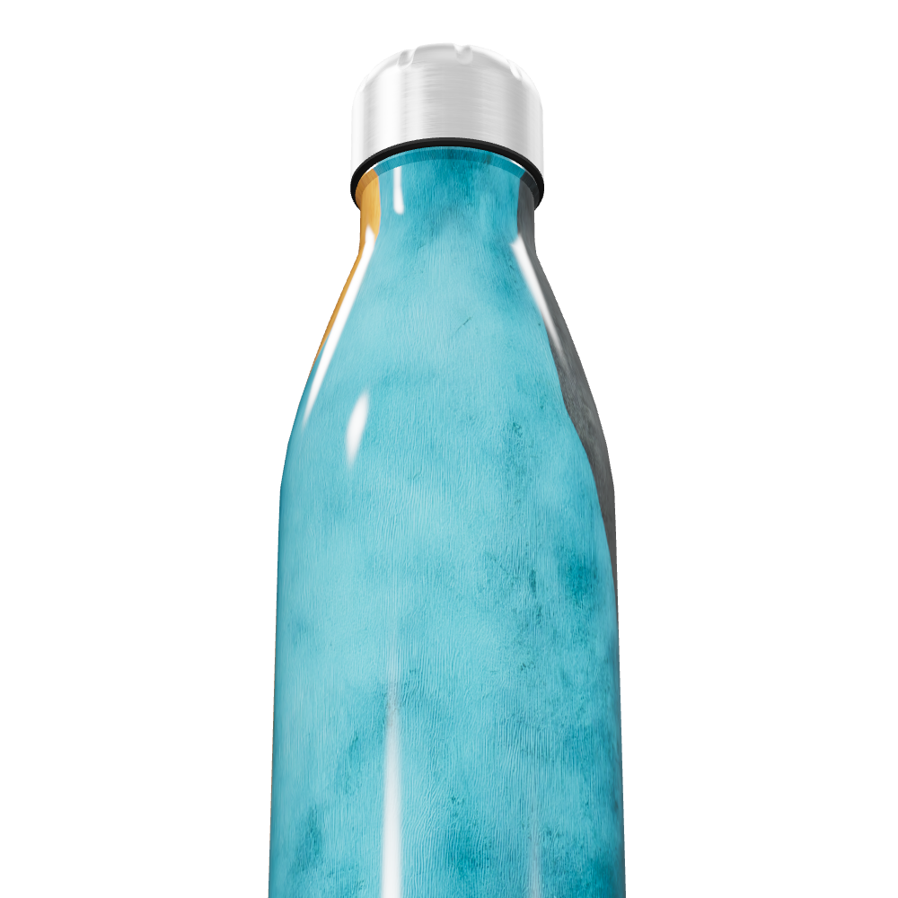 Garrafa Inox - Azul com Estampa Artística