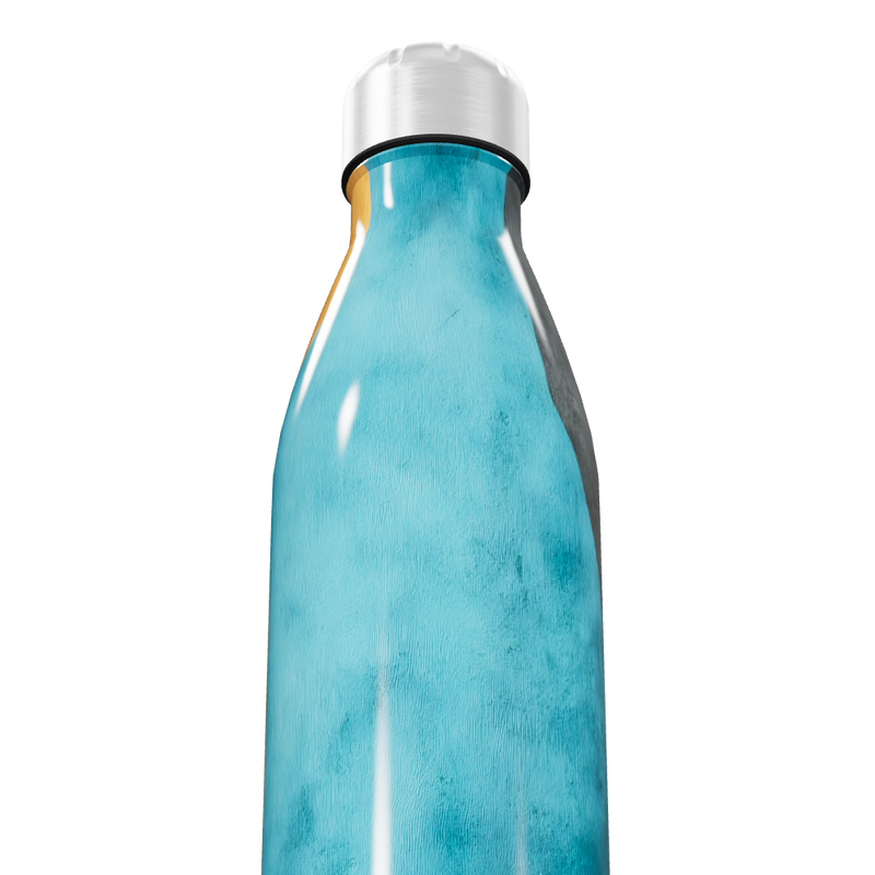 Garrafa Inox - Azul com Estampa Artística