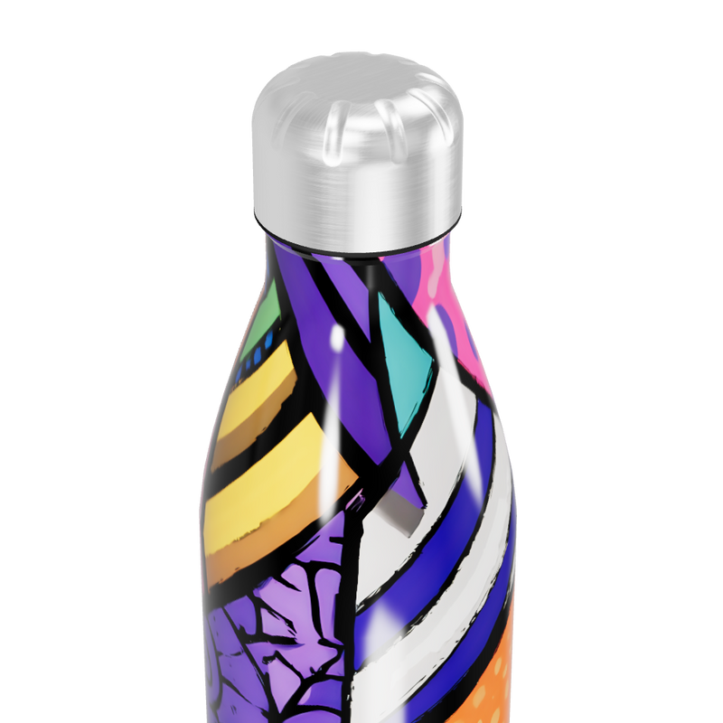 Garrafa Inox - Estampada Colorida 750ml