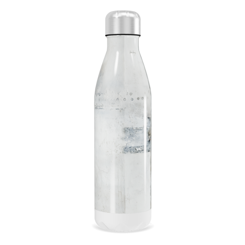 Garrafa Inox - Transparente com Tampa Prata