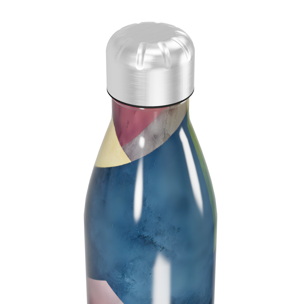 Garrafa Inox - Estampa Colorida
