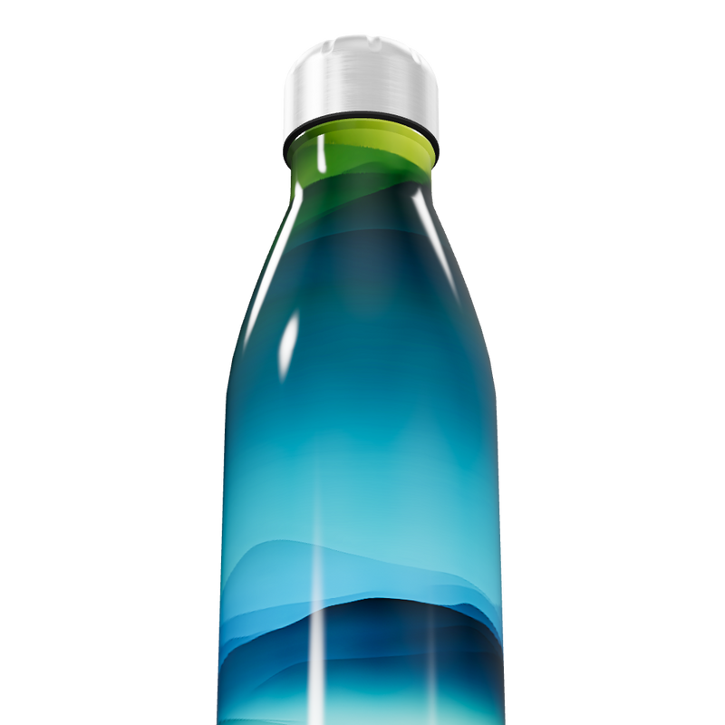 Garrafa Inox - Estampa Azul e Verde