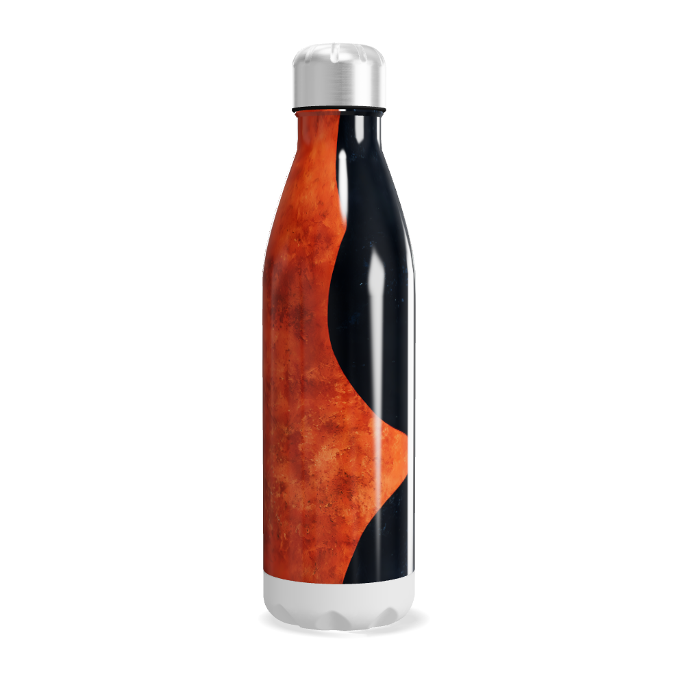 Garrafa Inox Estampada - Azul e Laranja