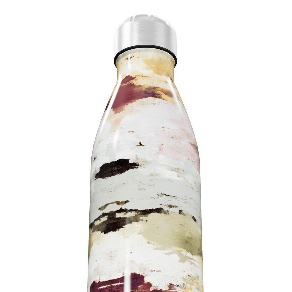 Garrafa Inox - Estampa Artística Colorida