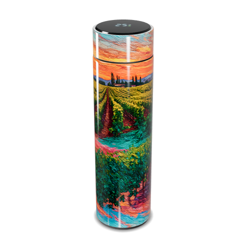 Garrafa Térmica Touch - Pintura Colorida