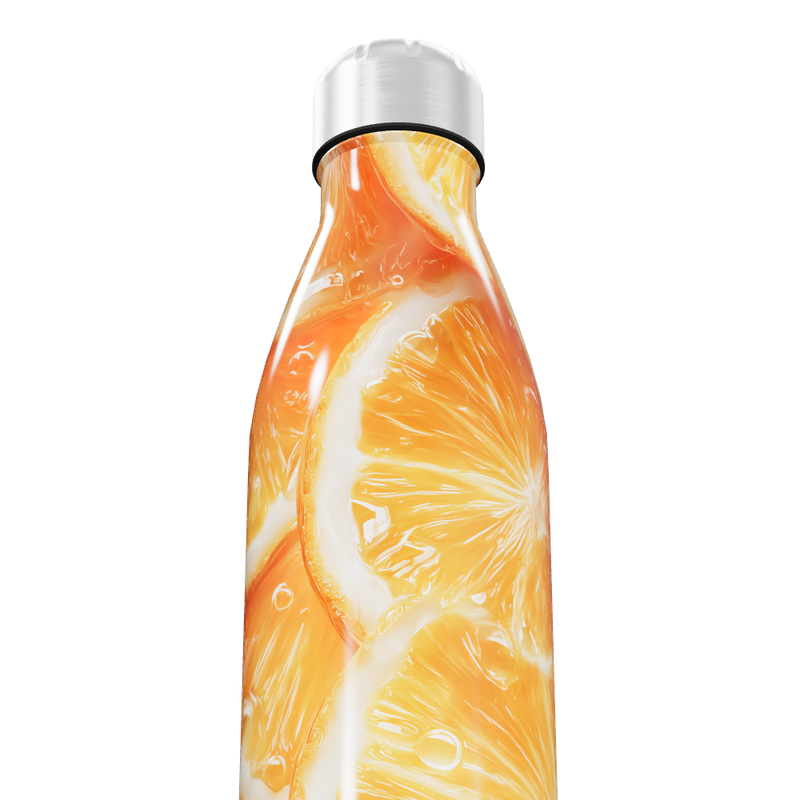 Garrafa Inox - Estampa Frutas Cítricas