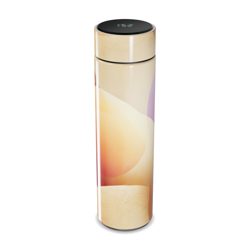 Garrafa Térmica Touch - Colorida com Display Digital