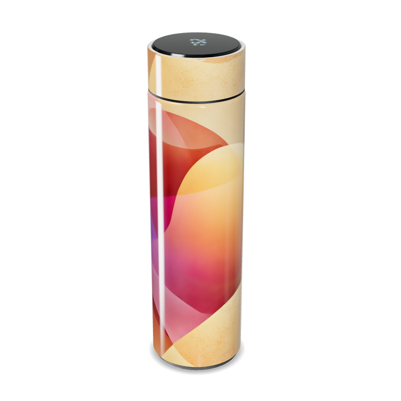 Garrafa Térmica Touch - Colorida com Display Digital