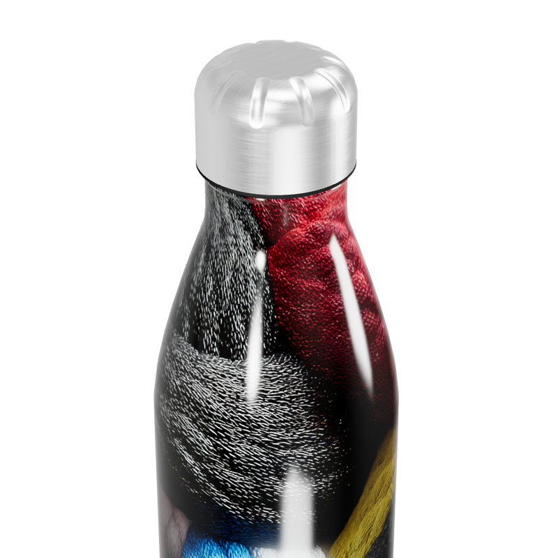 Garrafa Inox - Estampa Colorida