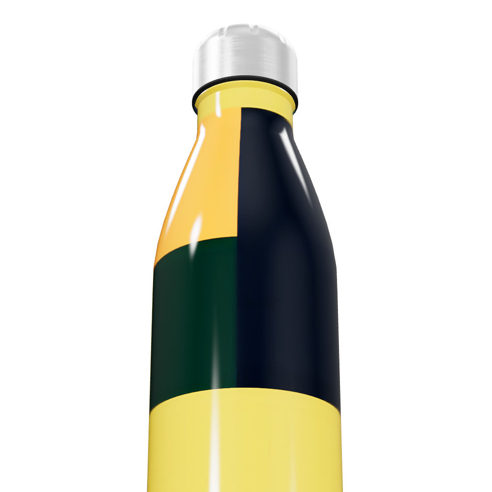 Garrafa Inox - Colorida com Listras