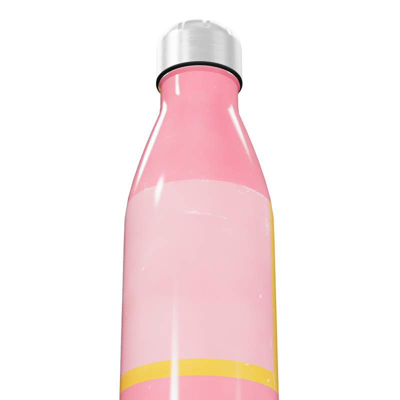 Garrafa Inox Rosa - Gradiente Colorido