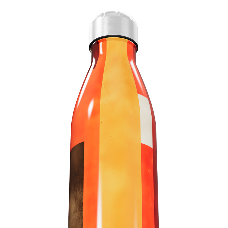 Garrafa Inox Estampada - Laranja e Vermelho