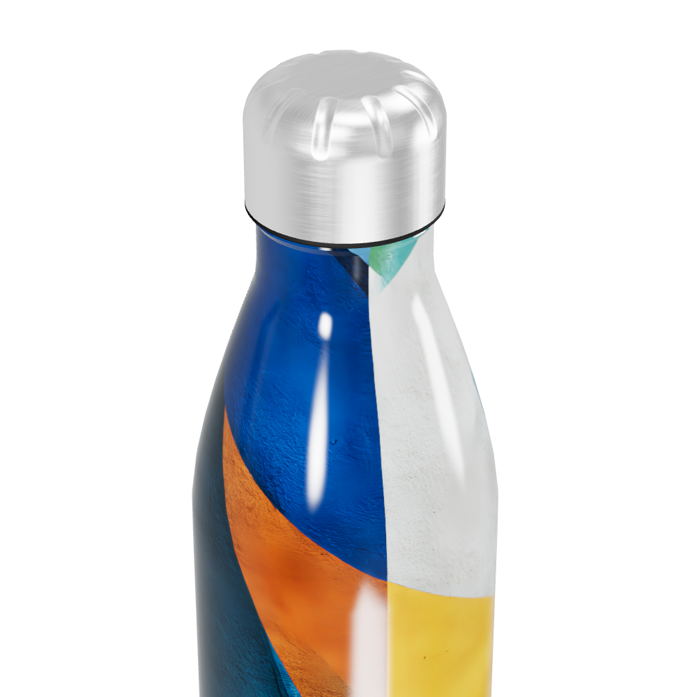 Garrafa Inox Colorida Estampada 500ml