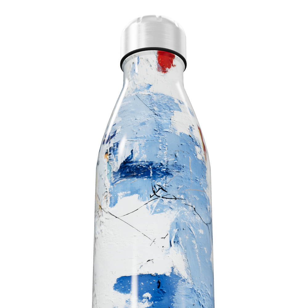 Garrafa Inox - Estampa Azul e Vermelha