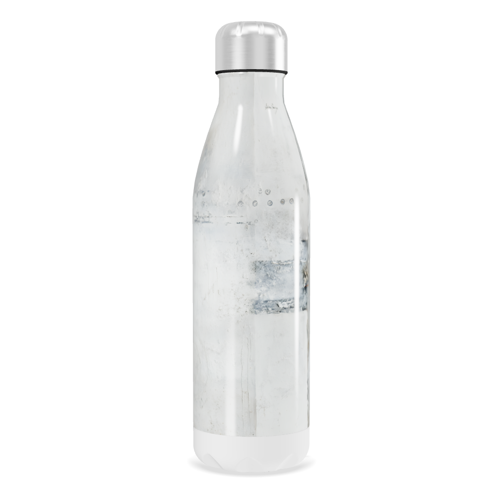 Garrafa Inox - Transparente com Tampa Prata