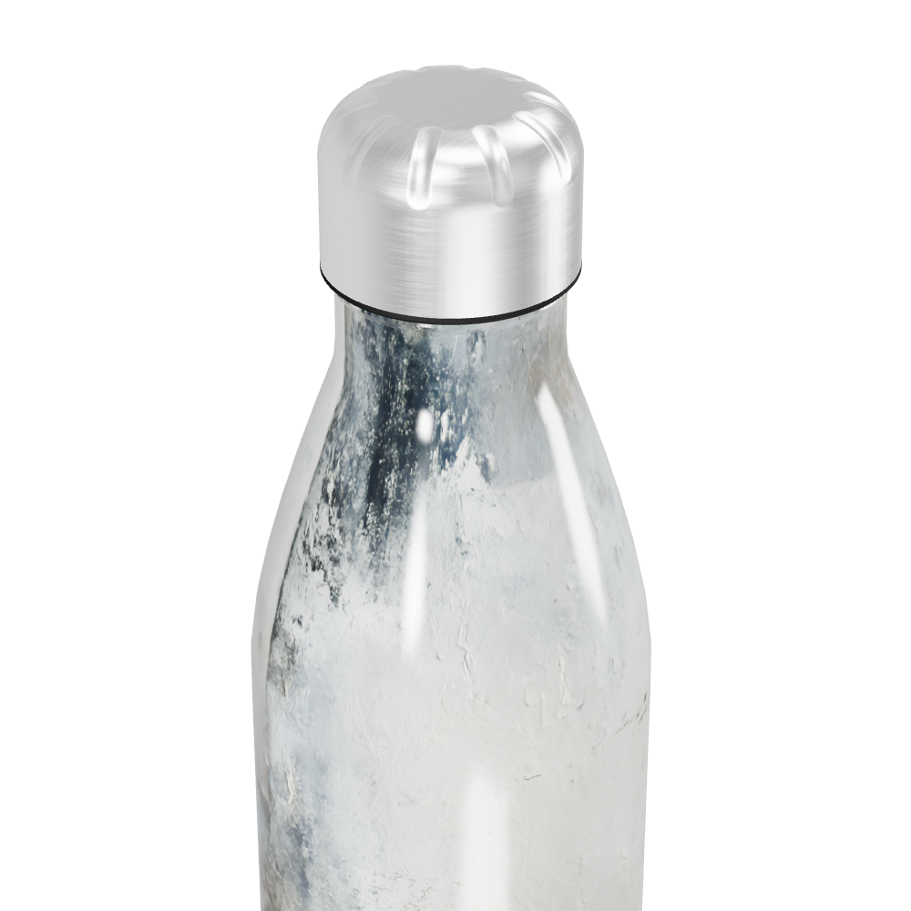 Garrafa Inox - Transparente com Tampa Prata