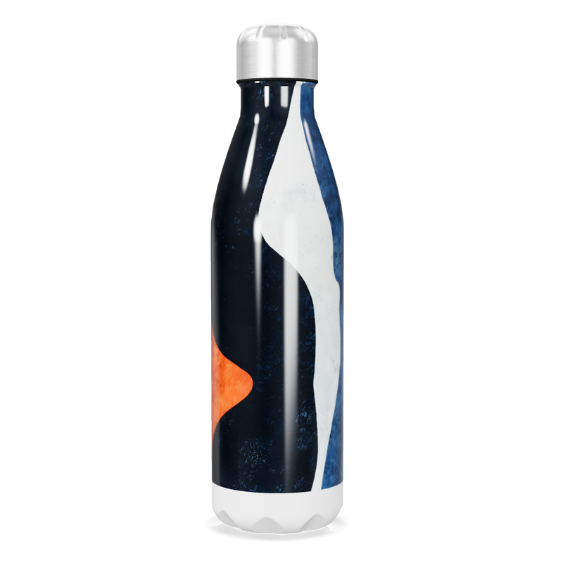 Garrafa Inox Estampada - Azul e Laranja