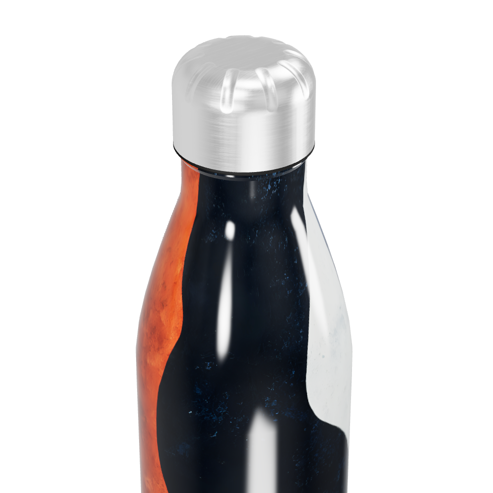 Garrafa Inox Estampada - Azul e Laranja