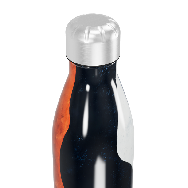 Garrafa Inox Estampada - Azul e Laranja