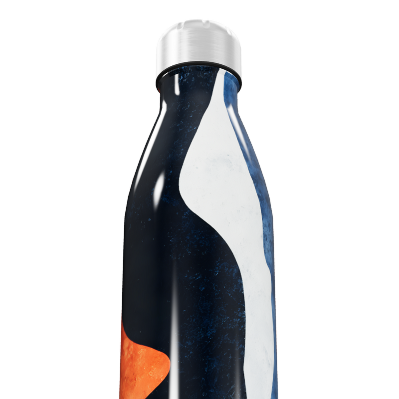 Garrafa Inox Estampada - Azul e Laranja