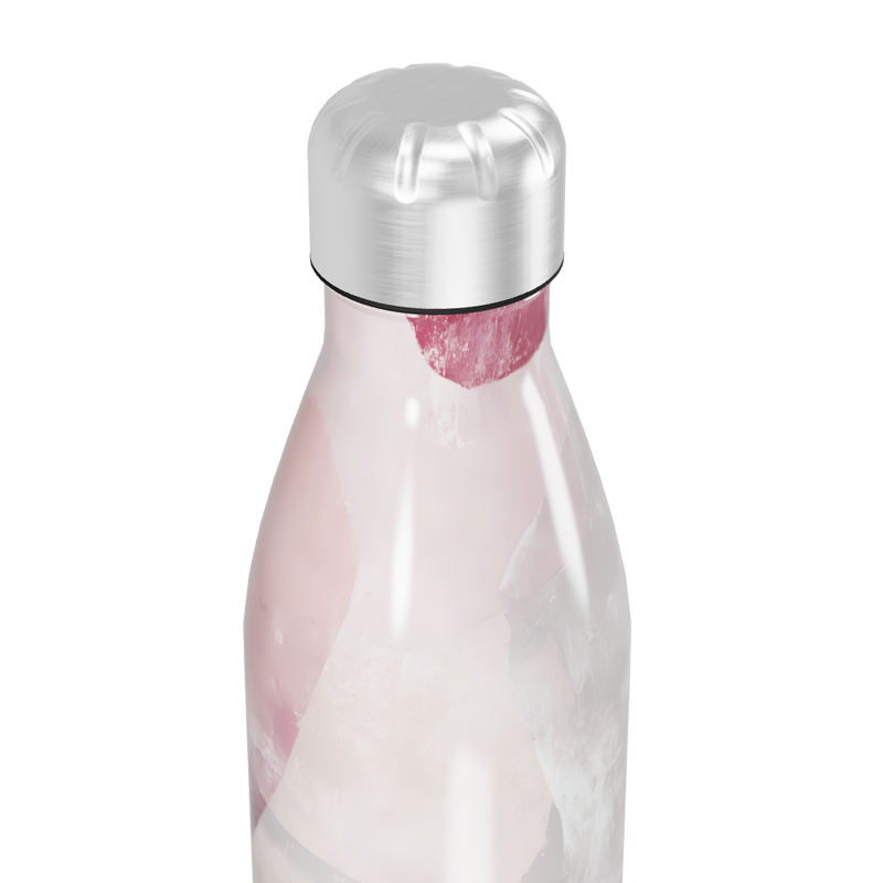 Garrafa Inox - Transparente e Rosa